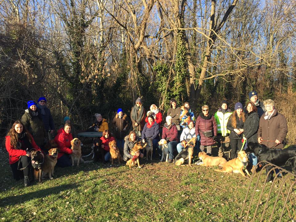 Silvesterspaziergang 2016