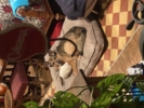 Foto 02.08.24, 21 35 41