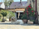 Foto 12.07.24, 12 21 58