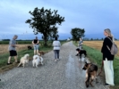 Foto 12.07.24, 21 12 49