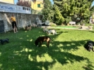 Foto 14.07.24, 15 53 47