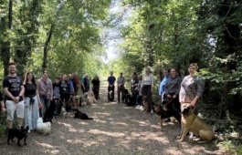 Hundetreffen 
