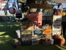 2026-06-20_07-20-19_257